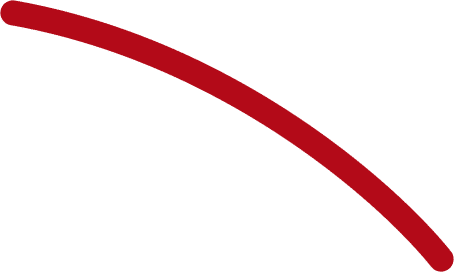 Vector-1.png