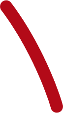 Vector-2.png